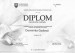 Diplom-D_Godová