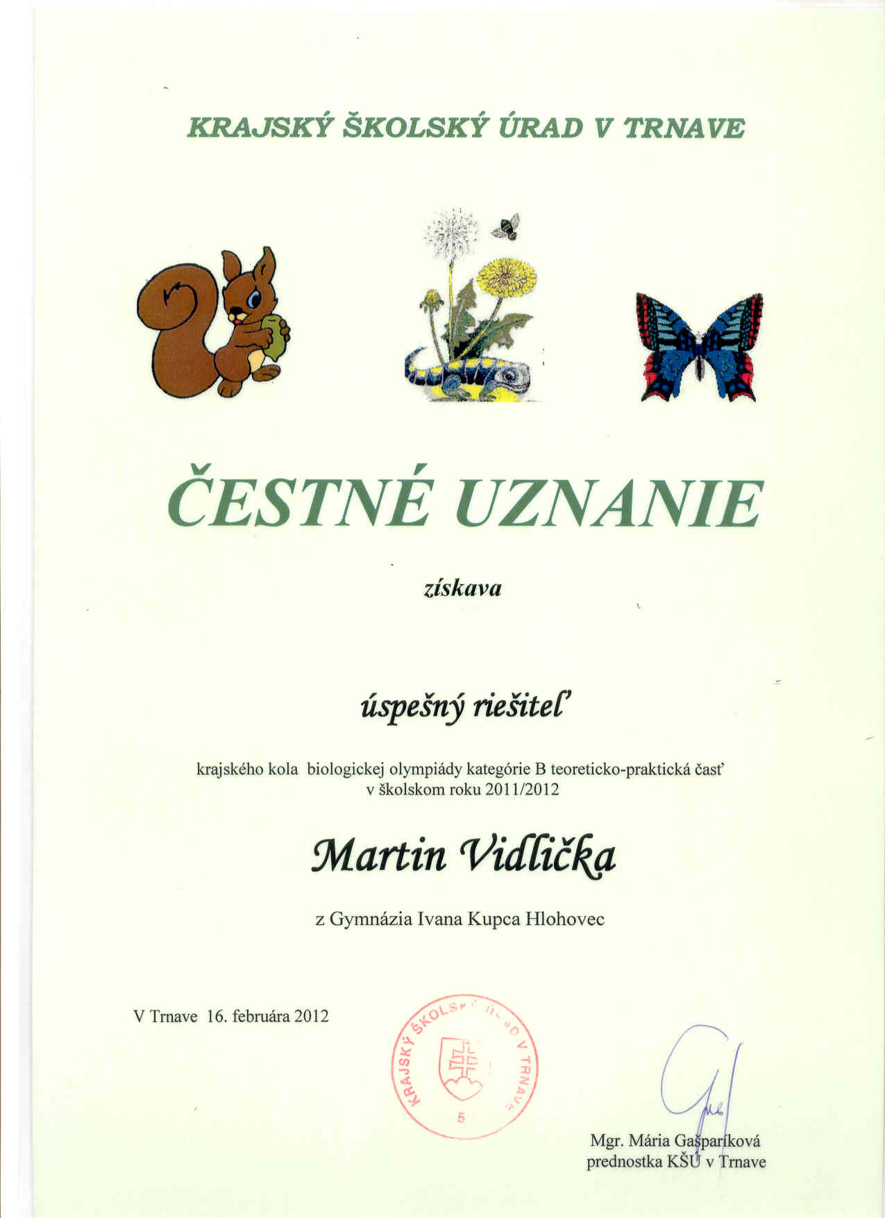 diplom-Vidlička