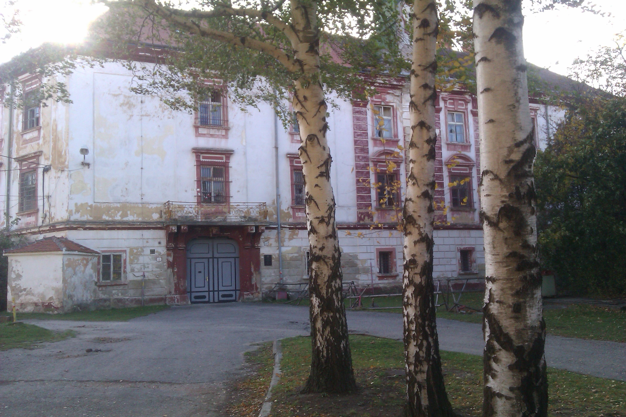 IMAG0666